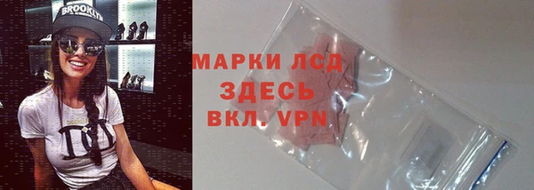 молекула духа Михайлов