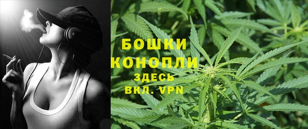 2c-b Надым
