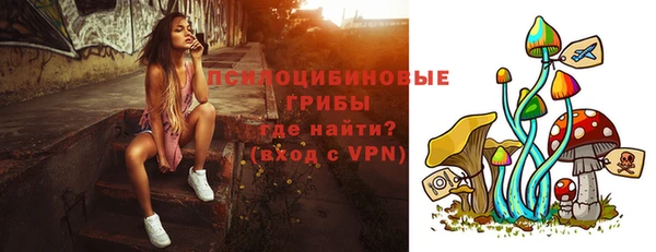 2c-b Надым