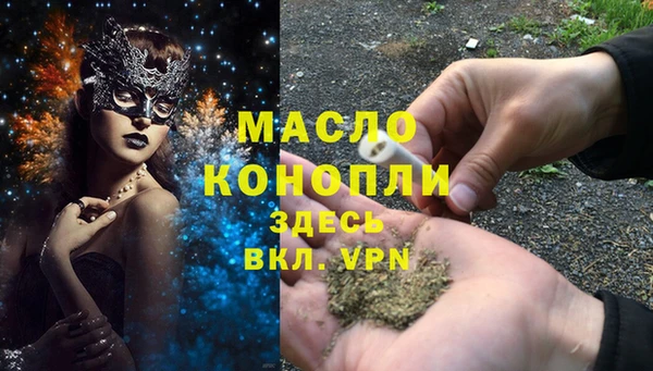 молекула духа Михайлов