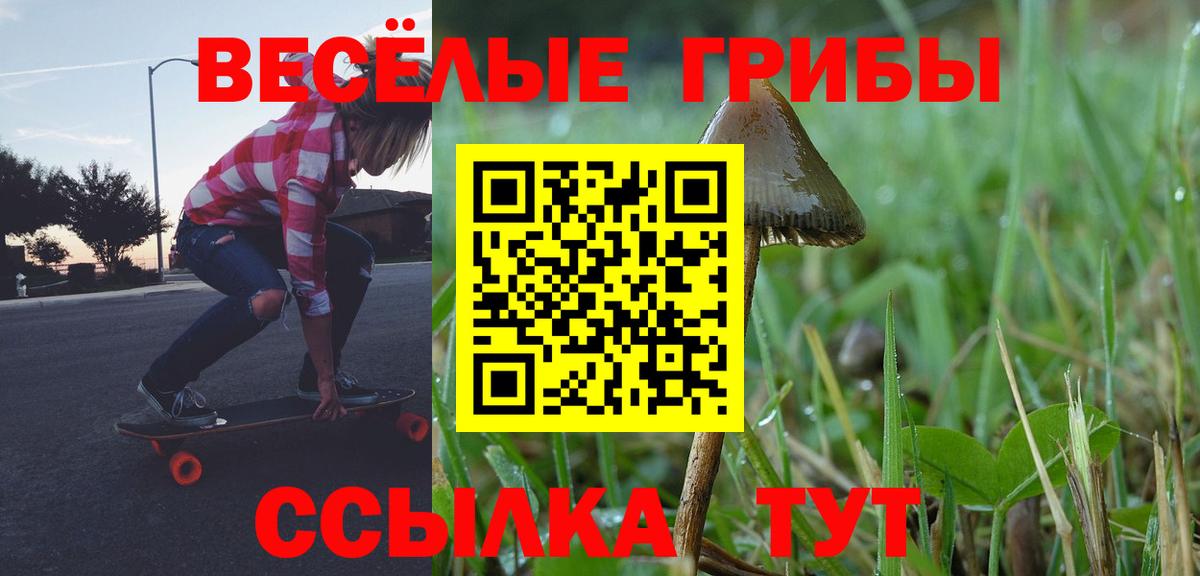 Псилоцибиновые грибы Psilocybe Нижнекамск