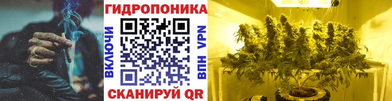 Шишки марихуана планчик Нижнекамск